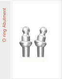 O ring Abutment