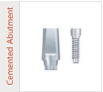 Cemented Abutment