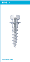  Orthodontic Screw