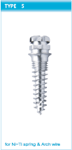  Orthodontic Screw